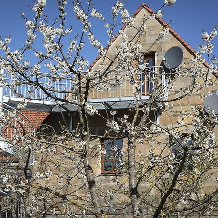 Kreuzstein Boutique-Apartment Hotel Байройт Екстериор снимка